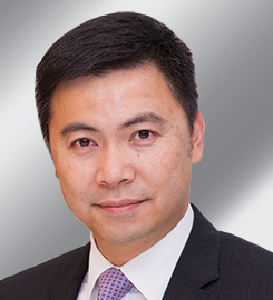 Mr Dennis HO Chiu-ping <span></span>